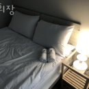 해밀톤여관 | 서대문구 연희동 호텔 연희장 접근성 OTT 후기