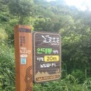 변사또족발 | 혼자 전세낸 하동 금오산 백패킹...