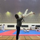 라스트킥 태권도 이미지