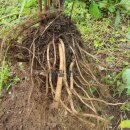 오금농장 이미지