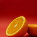 오렌지 이미지