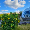 애월 밤별 이미지