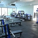 피트니스 바디타임즈 이미지