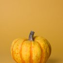 호박사우나 이미지