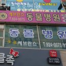 세브란스동물병원 이미지