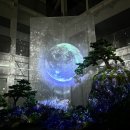 정원비디오 이미지