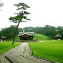 충희공 이인손 묘 이미지