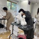 탑애견미용학원 - 관악구 장군봉2길 14 | 탑애견미용학원