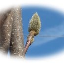 궁전경로당 이미지