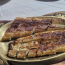 어성장어센타 이미지