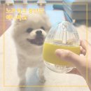 강아지/고양이 겸용 애니마크 노즈워크 장난감 후기