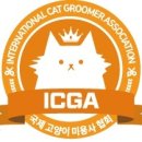 투냥 이미지