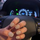 서귀포용이식당제주시청점 이미지