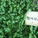 삼봉초등학교 이미지