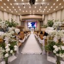 밀드플레 이미지