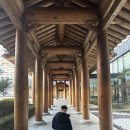 미스터손게임장 | 아이랑 부여여행 숙소 추천 롯데리조트 디럭스 한실트윈 1박 후기 아쿠아가든 내돈내산