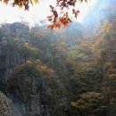 11월 6일(수) 경북/청송 주왕산국립공원 주왕산 단풍산행 안내 이미지