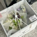 이례헤어 | 플래너, 헤어 변형 내돈내산 솔직 촬영 후기 [서이례 작가님, 웨딩플래너 홍예림 플래너님, 헤어변형...