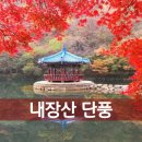 생태터널입구 | 내장산 단풍 터널 실시간 현황, 무료 유료 주차장...정보, 다음주 절정, 우화정 내장사 (11월 8일 후기)