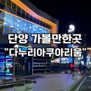 보령센터-043 | 단양 다누리아쿠아리움 할인 예매 가격 추천 입장료 주차 4D 민물 아기랑 관람 후기