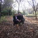 세명카센타 이미지