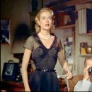 Rear Windo 이미지