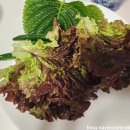 도니가 | 송파 족발 맛집 도니족발 후기 🐷🐽🐖