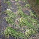 유경이네 이미지