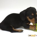 남양별내7 이미지