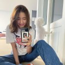 보라펫 이미지