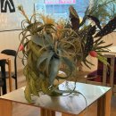 안양시청내 지하주차장 이미지