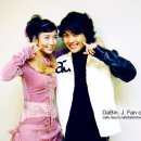 옥탑방 고양이 이미지