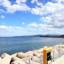 망상오토캠핑리조트 이미지