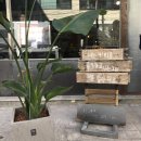 사파동402 이미지