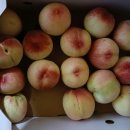 논공현대주유소 이미지