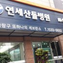 연세산돌병원 이미지