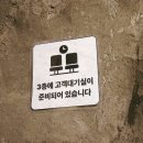 세븐일레븐 부평힘찬점 | 부평 데이트 맛집) 힙한 인테리어 속 페어링 되는 술과 함께 맛있는 안주! '서뉼고까' 리얼후기!