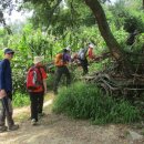 도봉태평양약국 이미지