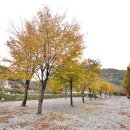 은석캠핑장 이미지