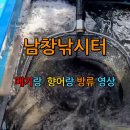 남창낚시터 9월 11일 향어,메기 방류 이미지