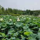 보산역 스포츠동아