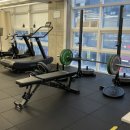 운동의 미학 이미지