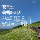 라온데이지 | 6월 22일 청독산 육백마지기 샤스타데이지 당일 여행 후기