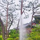봉녕사 - 934 | 봉녕사