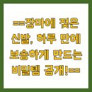 장마에 젖은 신발, 하루 만에 보송하게 만드는 비밀템 공개!