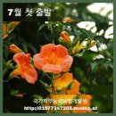 국제인력개발직업소개소