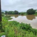 밤섬농장 이미지