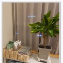 스트레칭&힐링요가 이미지