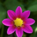 화정동 (화정역 광장앞) 이미지