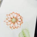 보태니컬 아트(기초) 이미지